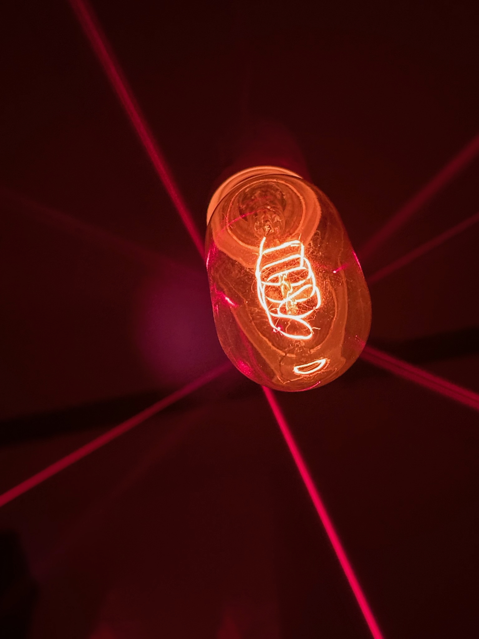 images/7_ev-ptl-bulb.jpeg